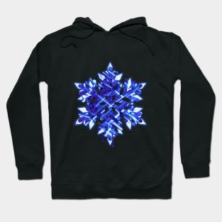 Roses snowflake Hoodie